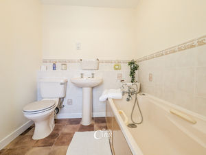 Photo 12- click for photo gallery